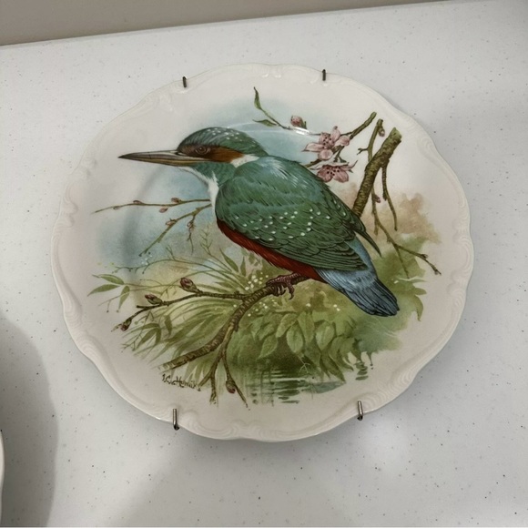 Vintage Johann Haviland Bavaria Germany Docorative Bird 10” Plates Set RARE - Picture 3 of 11